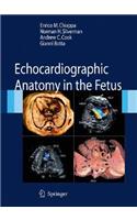 Echocardiographic Anatomy in the Fetus