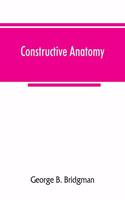 Constructive anatomy