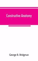 Constructive anatomy