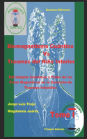 Biomagnetismo Cuántico Vs Traumas del Niño Interior Tomo I