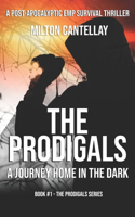 Prodigals: A Journey Home in the Dark