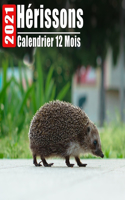 Calendrier 2021 Hérissons