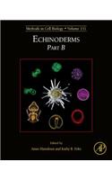 Echinoderms Part B