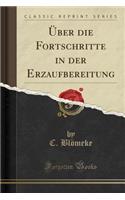 ï¿½ber Die Fortschritte in Der Erzaufbereitung (Classic Reprint)