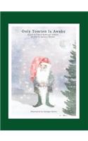 Only Tomten Is Awake