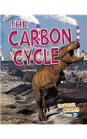 The Carbon Cycle