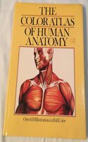 Color Atlas of Human Anatomy