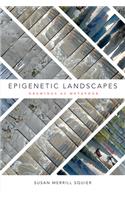 Epigenetic Landscapes