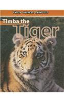 Timba the Tiger