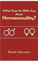 What Does the Bible Say about Homosexuality?