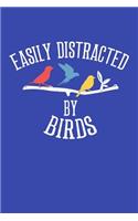 Easily Distracted by Birds