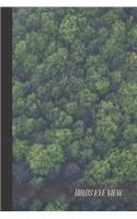 Birds Eye View