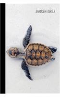 Sand Sea Turtle