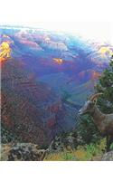 Mountain Goat at Grand Canyon: Journal Notebook with blank lined pages for Mountain Goat & Grand Canyon Enthusiasts