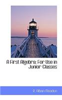 A First Algebra: For Use in Junior Classes