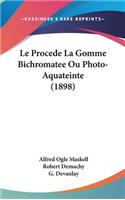 Procede La Gomme Bichromatee Ou Photo-Aquateinte (1898)