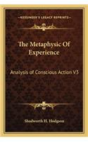 The Metaphysic Of Experience