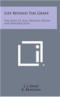 Life Beyond the Grave