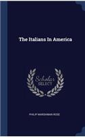 The Italians In America