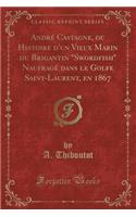 André Castagne, ou Histoire d'un Vieux Marin du Brigantin "Swordfish" Naufragé dans le Golfe Saint-Laurent, en 1867 (Classic Reprint)