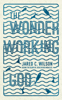 Wonder-Working God