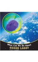 What Can We Do about Ozone Loss?