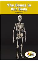 The Bones in Our Body