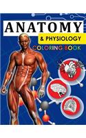 Anatomy & Physiology Coloring Book