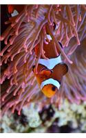 Anemone and a Clown Fish Journal: Take Notes, Write Down Memories in this 150 Page Lined Journal