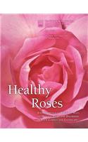 Healthy Roses