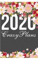 2020 Crazy Plans