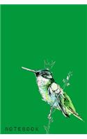 Notebook: Journal With Hummingbird Theme- Watercolor Notebook - Write In Journal Diary Log Book Gift - 110 Lined Pages