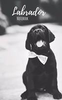 Labrador Notebook: Notebook (120 pages, 6x9): Lined Black Labrador Retriever Notebook / Journal - Great Accessories & Gift Idea for Black Lab Owner & Lover. Great Note