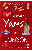 Growing Yams in London