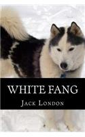 White Fang