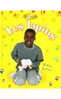 Les Lapins (Rabbits)