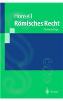 R Misches Recht: (Springer-Lehrbuch)