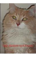 Tigers Rückkehr nach Kanada