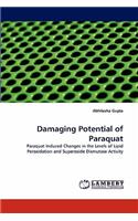 Damaging Potential of Paraquat