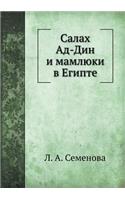 Салах Ад-Дин и мамлюки в Египте