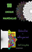 100 Unique Mandalas
