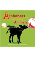 Alphabets are Amazing Animals