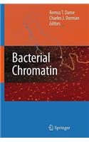 Bacterial Chromatin