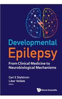 Developmental Epilepsy: From Clinical Medicine to Neurobiological Mechanisms