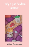 Il n'y a pas de demi amour
