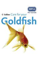 Care for Your Goldfish