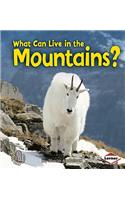 What Can Live in the Mountains?