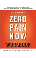 Adam Heller's Zero Pain Now Workbook