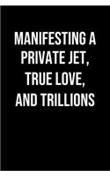 Manifesting A Private Jet True Love And Trillions