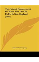 The Natural Replacement of White Pine on Old Fields in New England (1905)